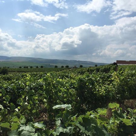 图尔达Wineyards Salin住宿加早餐旅馆 外观 照片