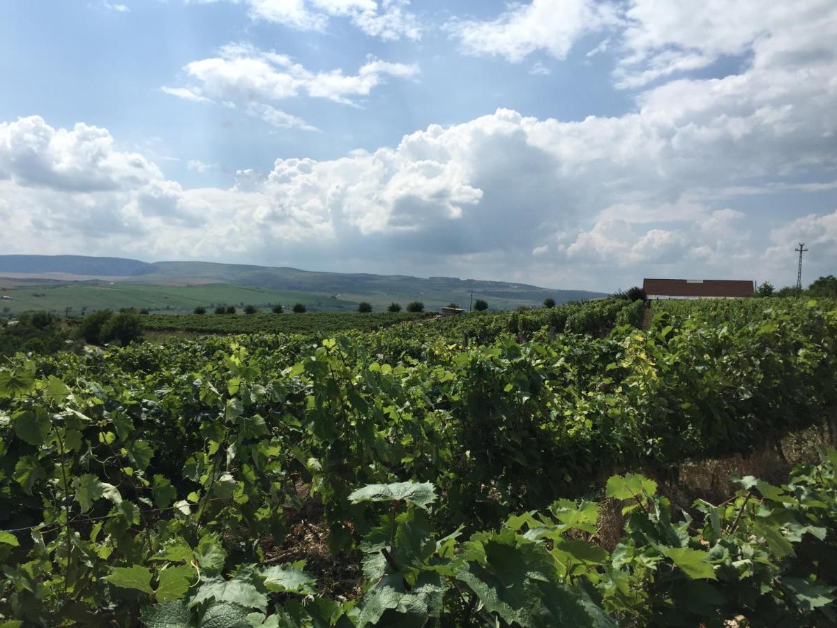 图尔达Wineyards Salin住宿加早餐旅馆 外观 照片