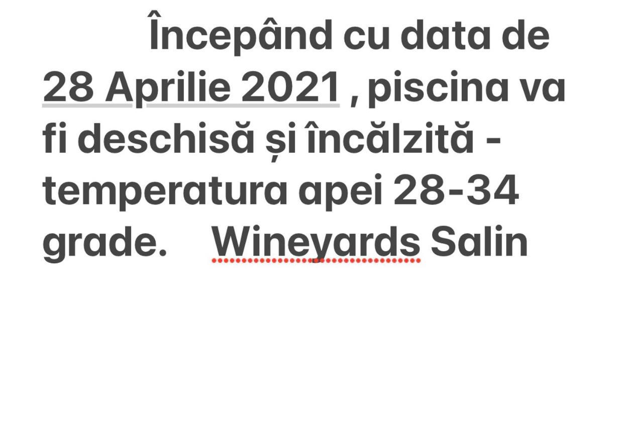 图尔达Wineyards Salin住宿加早餐旅馆 外观 照片