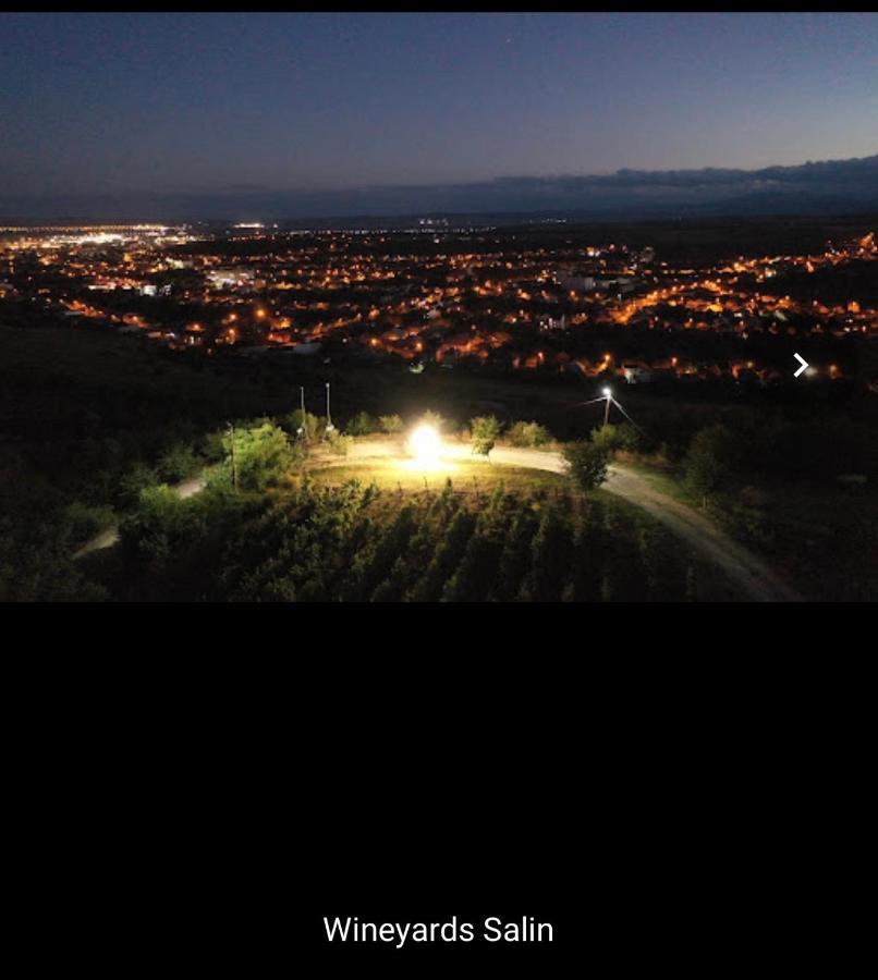 图尔达Wineyards Salin住宿加早餐旅馆 外观 照片