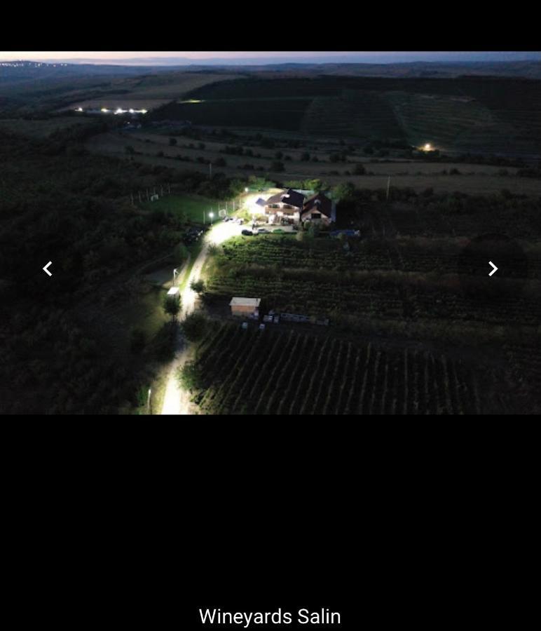 图尔达Wineyards Salin住宿加早餐旅馆 外观 照片