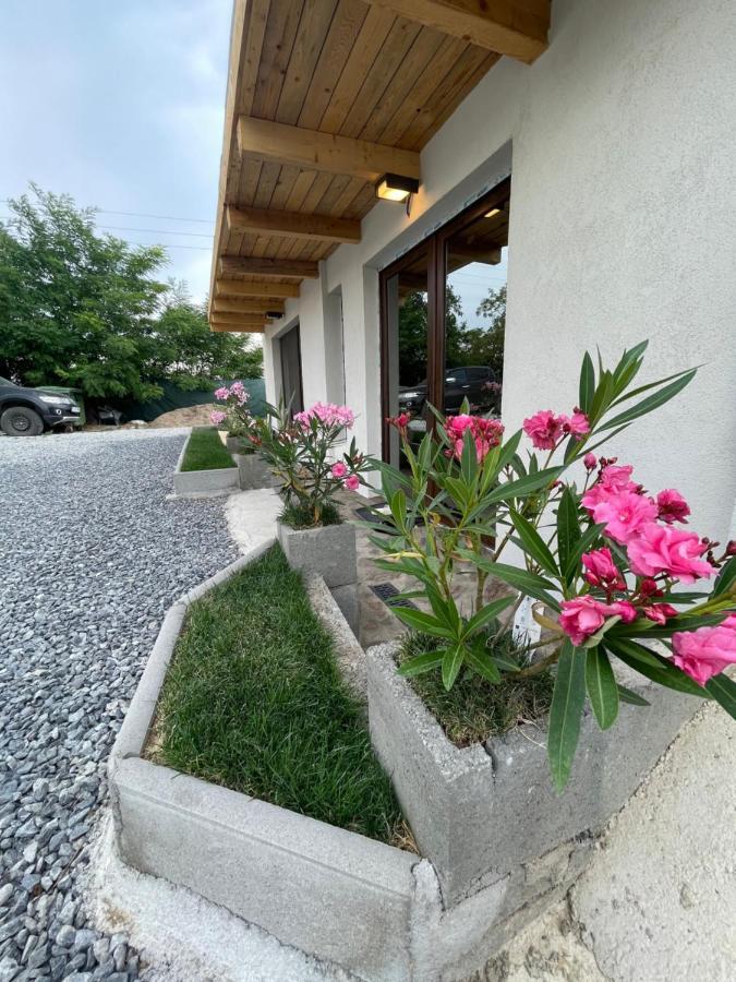 图尔达Wineyards Salin住宿加早餐旅馆 外观 照片